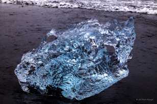 Iceberg on black sand beach-9233